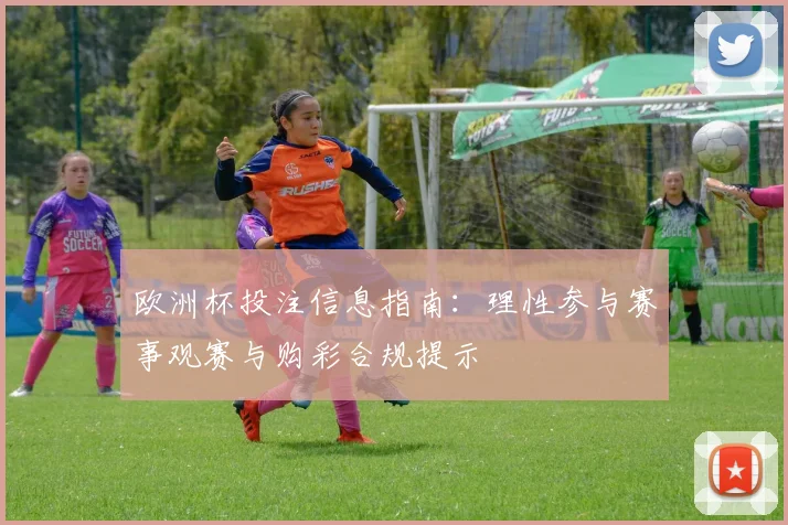 欧洲杯投注信息指南：理性参与赛事观赛与购彩合规提示