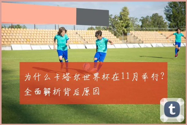 为什么卡塔尔世界杯在11月举行？全面解析背后原因