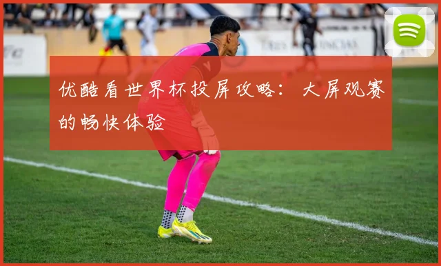 优酷看世界杯投屏攻略：大屏观赛的畅快体验