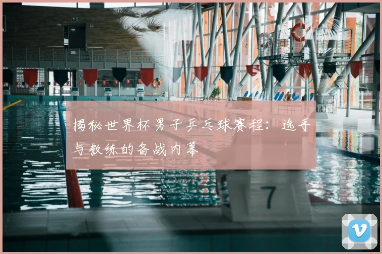 揭秘世界杯男子乒乓球赛程：选手与教练的备战内幕
