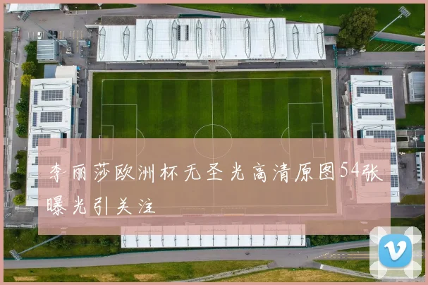 李丽莎欧洲杯无圣光高清原图54张曝光引关注