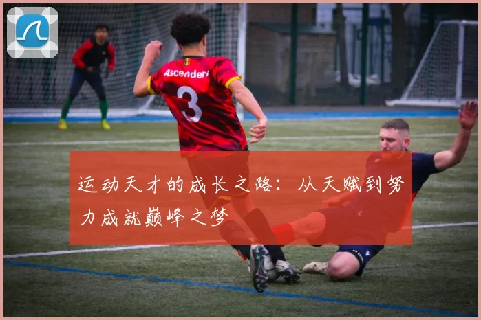 运动天才的成长之路：从天赋到努力成就巅峰之梦