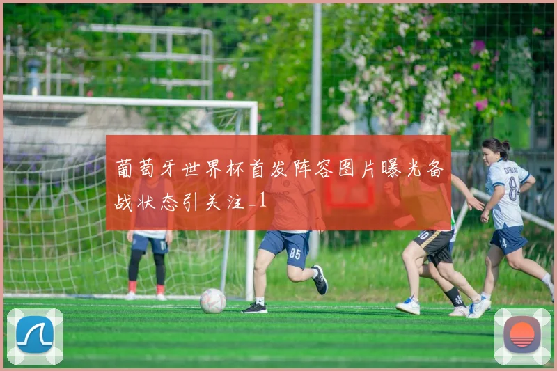 葡萄牙世界杯首发阵容图片曝光备战状态引关注_1