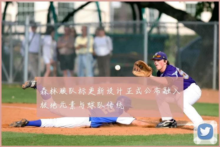 森林狼队标更新设计正式公布融入极地元素与球队传统