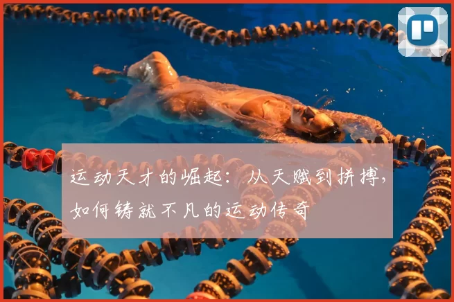 运动天才的崛起：从天赋到拼搏，如何铸就不凡的运动传奇