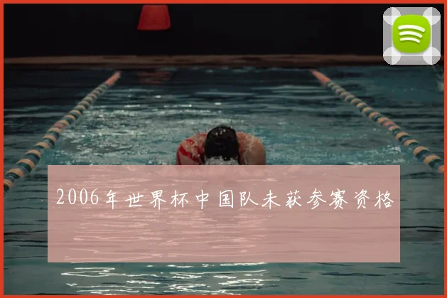 2006年世界杯中国队未获参赛资格