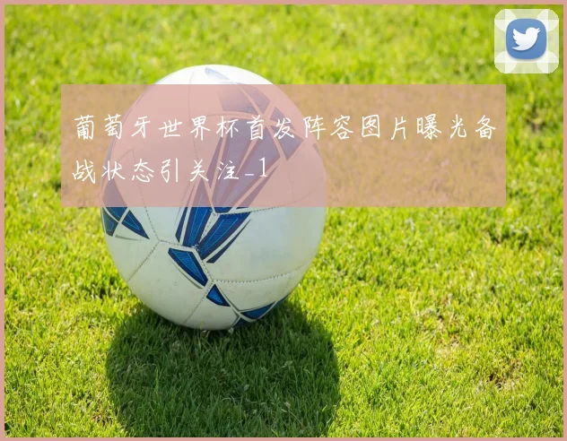 葡萄牙世界杯首发阵容图片曝光备战状态引关注_1